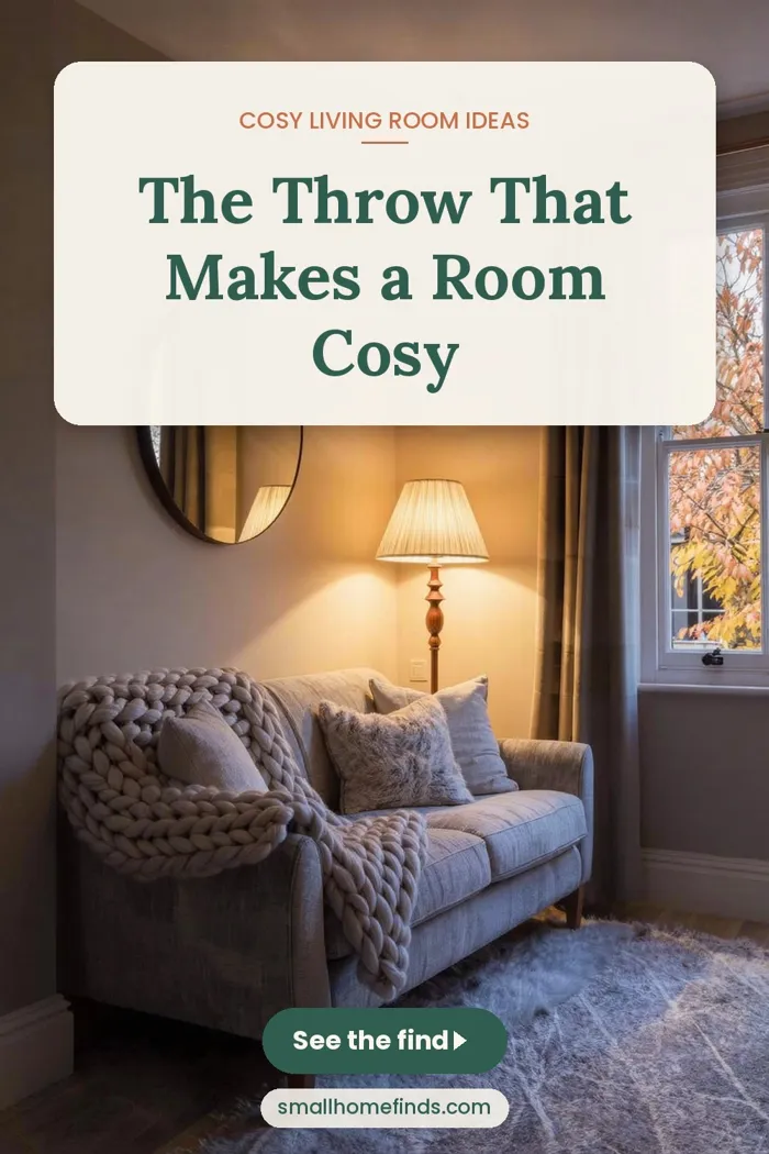 The Throw That Makes a Room Cosy