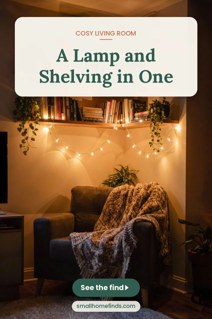 A Lamp and Shelving in One